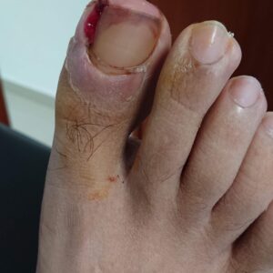 DSC_7231